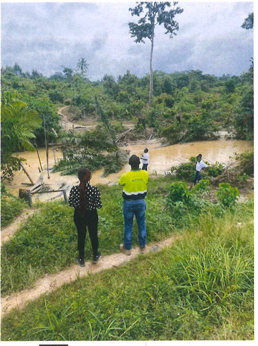 Westfield community bridge support